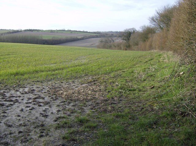 Farmland near Wergs Farm The sort of farmland found in the middle of the square.