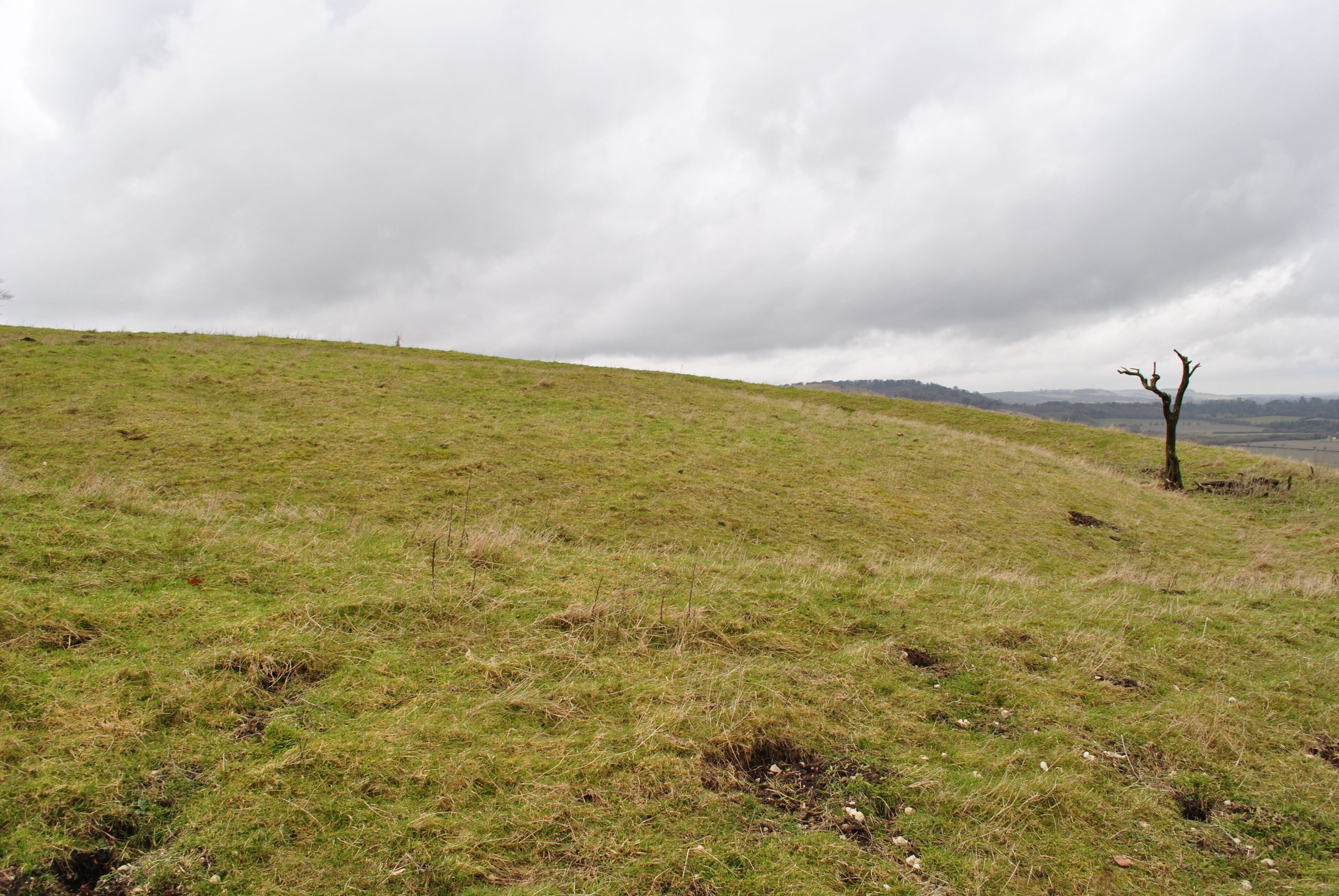 Ladle Hill Barrow