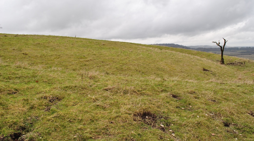 Ladle Hill Barrow