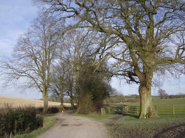 Footpath from Watership Farm It is only marked as a footpath on the map, but clearly a more substantial estate road.