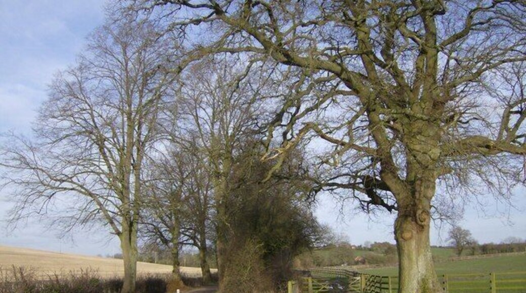 Footpath from Watership Farm It is only marked as a footpath on the map, but clearly a more substantial estate road.