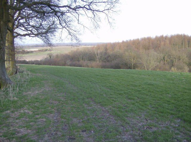 Isle Copse From the footpath to the east of Nuthanger Farm, rounding the edge of the wood at the western edge of the square and looking north-east towards the middle of the square.