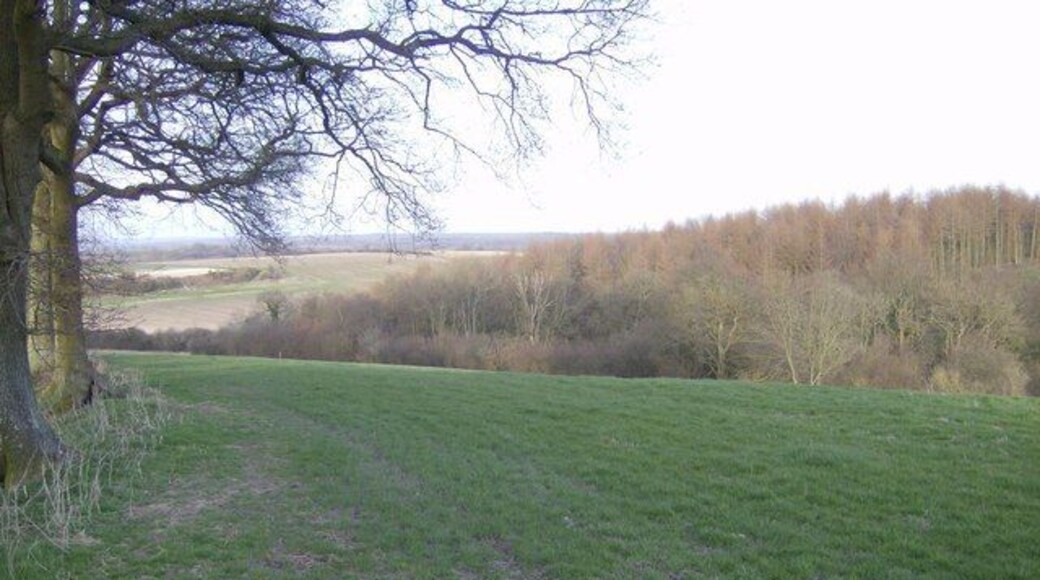 Isle Copse From the footpath to the east of Nuthanger Farm, rounding the edge of the wood at the western edge of the square and looking north-east towards the middle of the square.