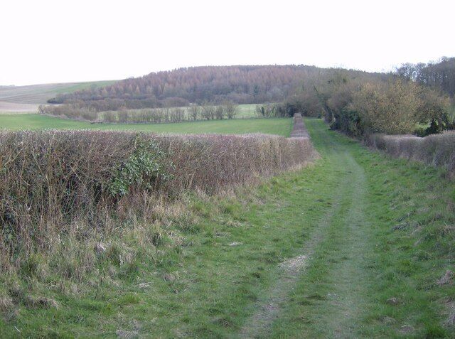 A rural path leading through a field with a fence on one side and a forested hill in the distance.