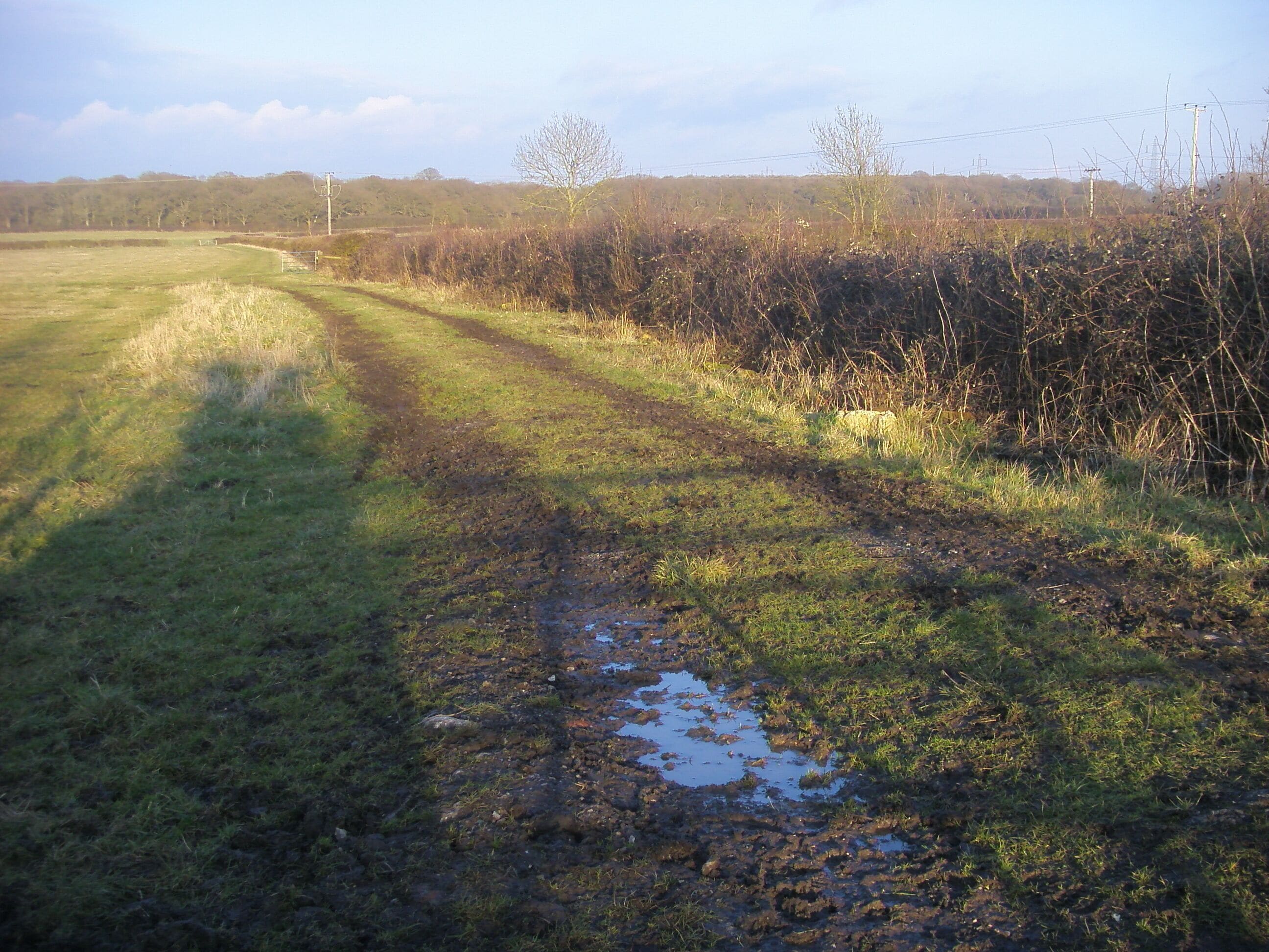 Bridleway to Doddershall Wood By Oak Tree Cottages the bridleway to Doddershall Wood