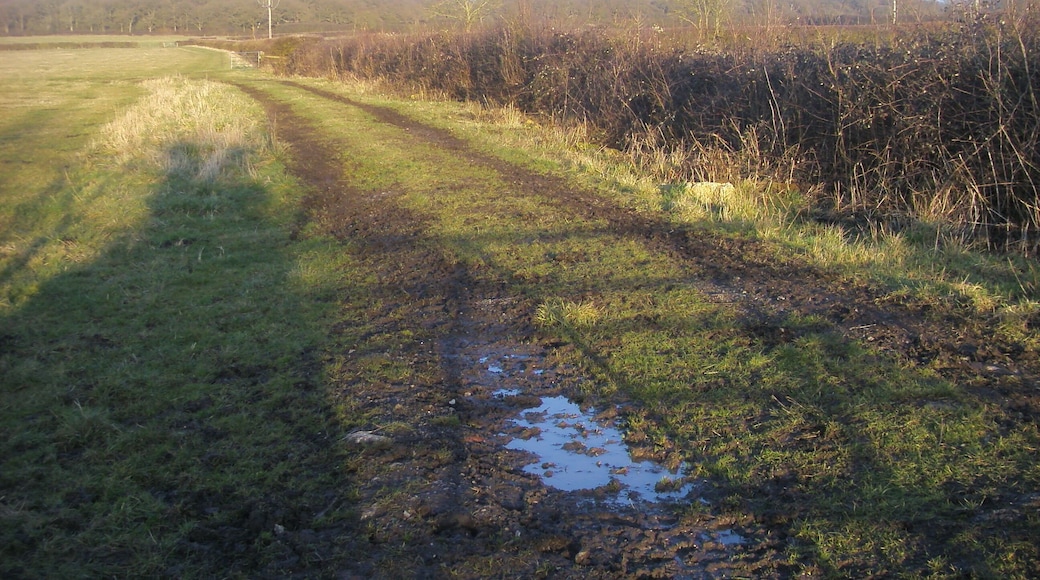 Bridleway to Doddershall Wood By Oak Tree Cottages the bridleway to Doddershall Wood