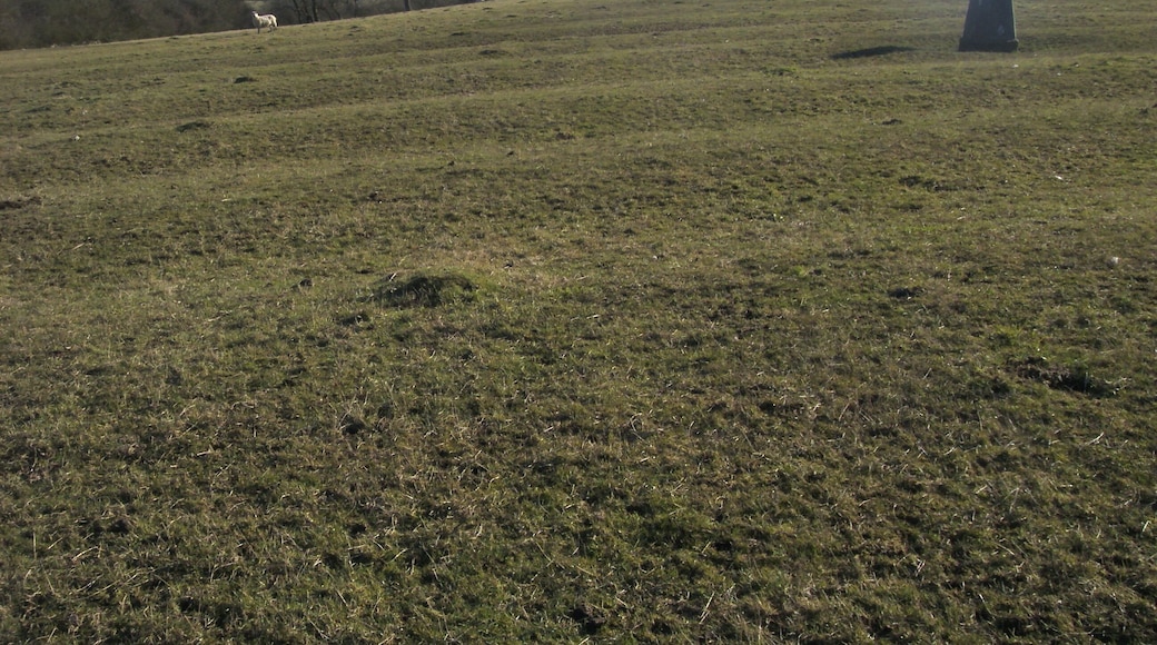 Spring Hill Trig Point on Spring Hill