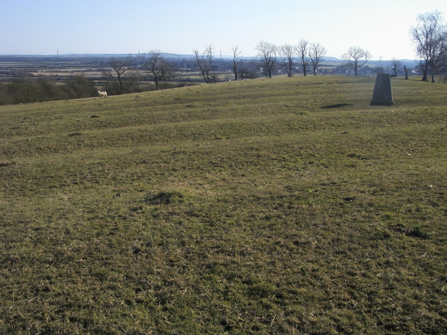 Spring Hill Trig Point on Spring Hill