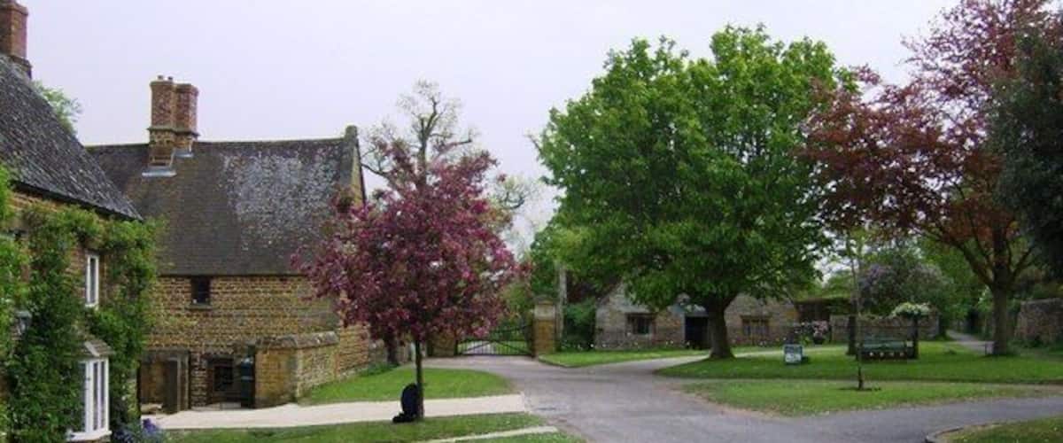 A quiet residential street with stone houses, a well-maintained lawn, and a large tree with pink blossoms.