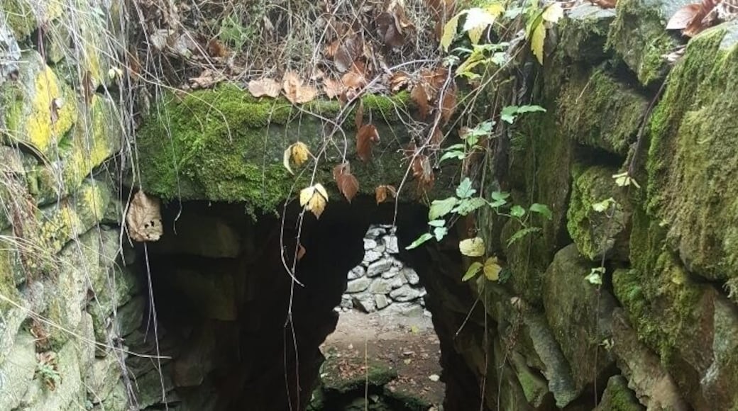 Ancient place, already forgotten. It seems like in any moment you can find a fairy person.