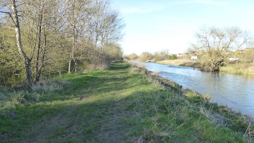 Higham Ferrers Pits is a nature reserve east of Wellingborough in Northamptonshire. It is managed by the Wildlife Trust for Bedfordshire, Cambridgeshire and Northamptonshire, and is part of the Upper Nene Valley Gravel Pits Site of Special Scientific Interest.