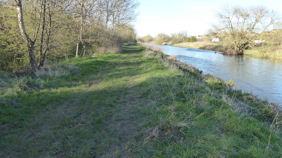 A narrow path beside a calm river, surrounded by trees and grass.
