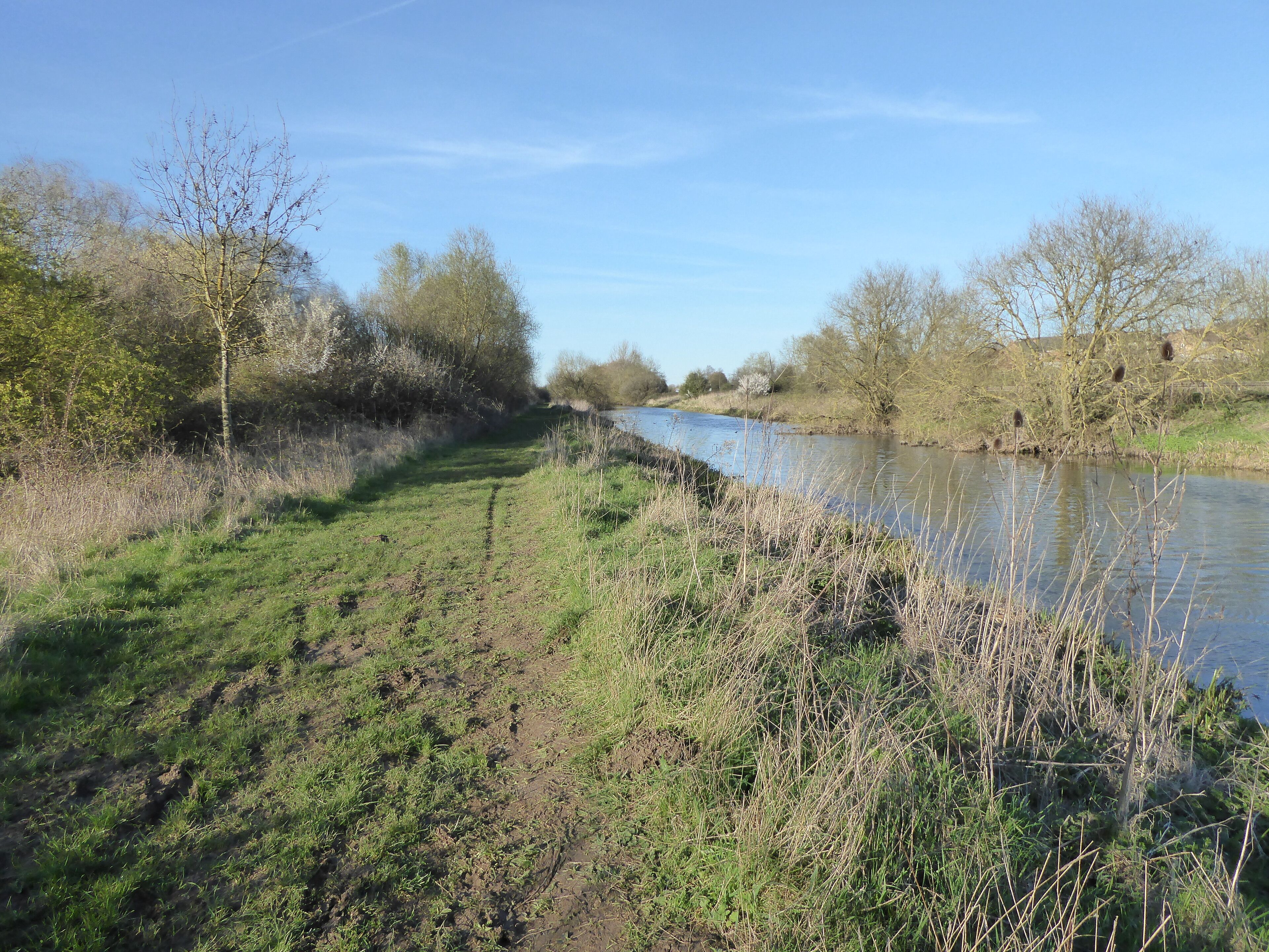 Higham Ferrers Pits is a nature reserve east of Wellingborough in Northamptonshire. It is managed by the Wildlife Trust for Bedfordshire, Cambridgeshire and Northamptonshire, and is part of the Upper Nene Valley Gravel Pits Site of Special Scientific Interest.