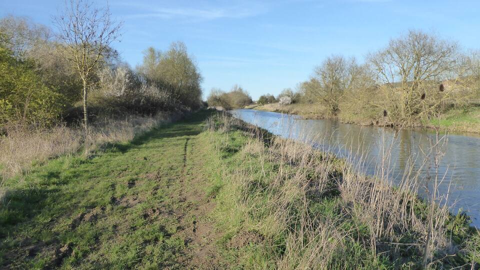 A riverbank with grassy areas and trees.