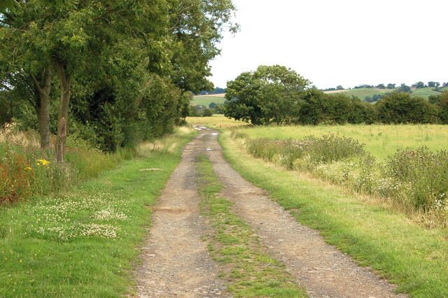 Looking east on farm track south of Lower Farm, Newbold Grounds