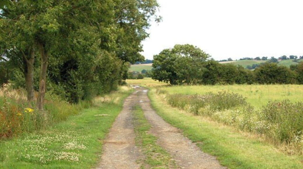 Looking east on farm track south of Lower Farm, Newbold Grounds