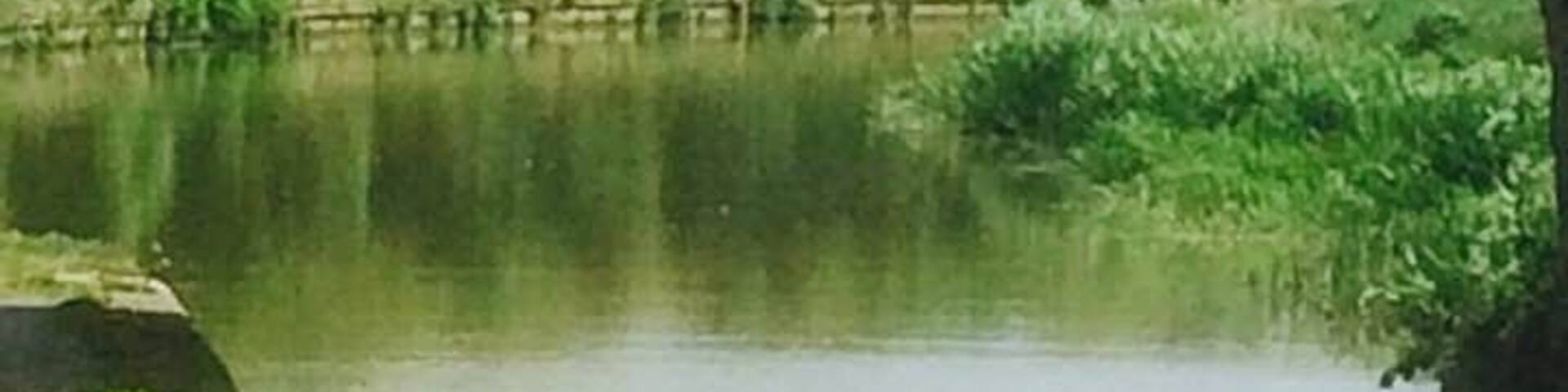 Taking a stroll along the canal towpath.....but wasn't alone , someone was watching over me !!