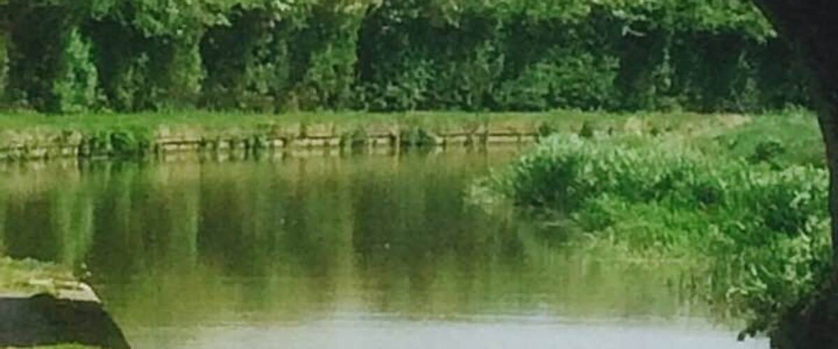 A stone bridge over a calm river with greenery on either side.