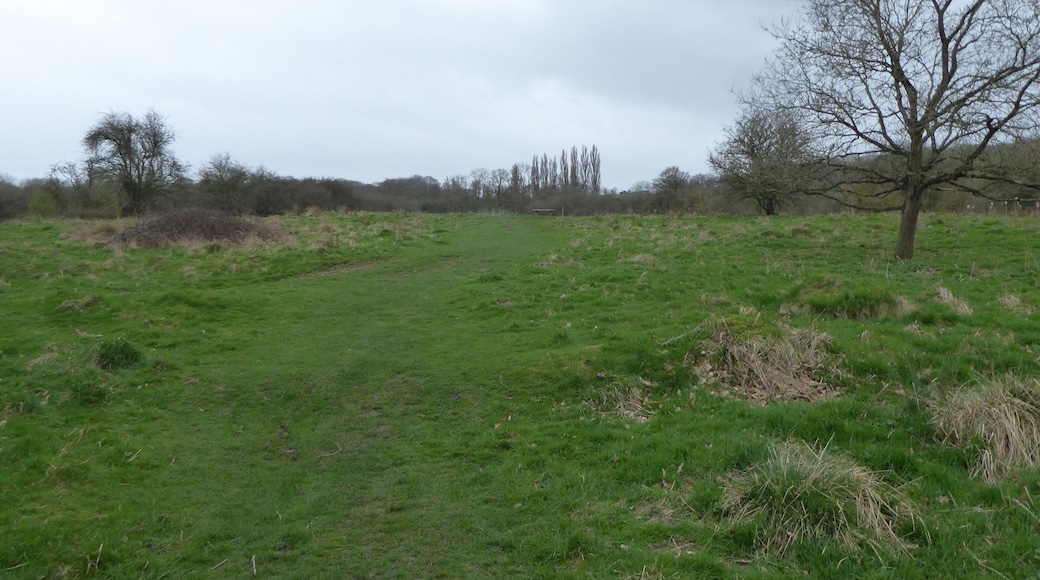 Stoke Bruerne Brick Pits is a nature reserve in Stoke Bruerne in Northamptonshire. It is managed by the Wildlife Trust for Bedfordshire, Cambridgeshire and Northamptonshire.