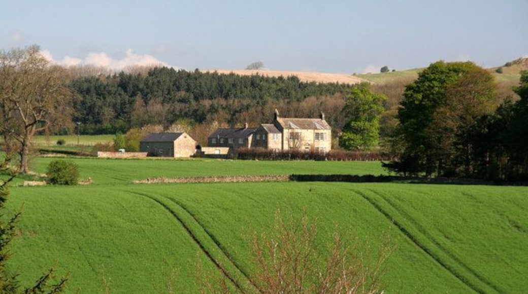 Ellwood House View across the River North Tyne to Ellwood House near Barrasford.