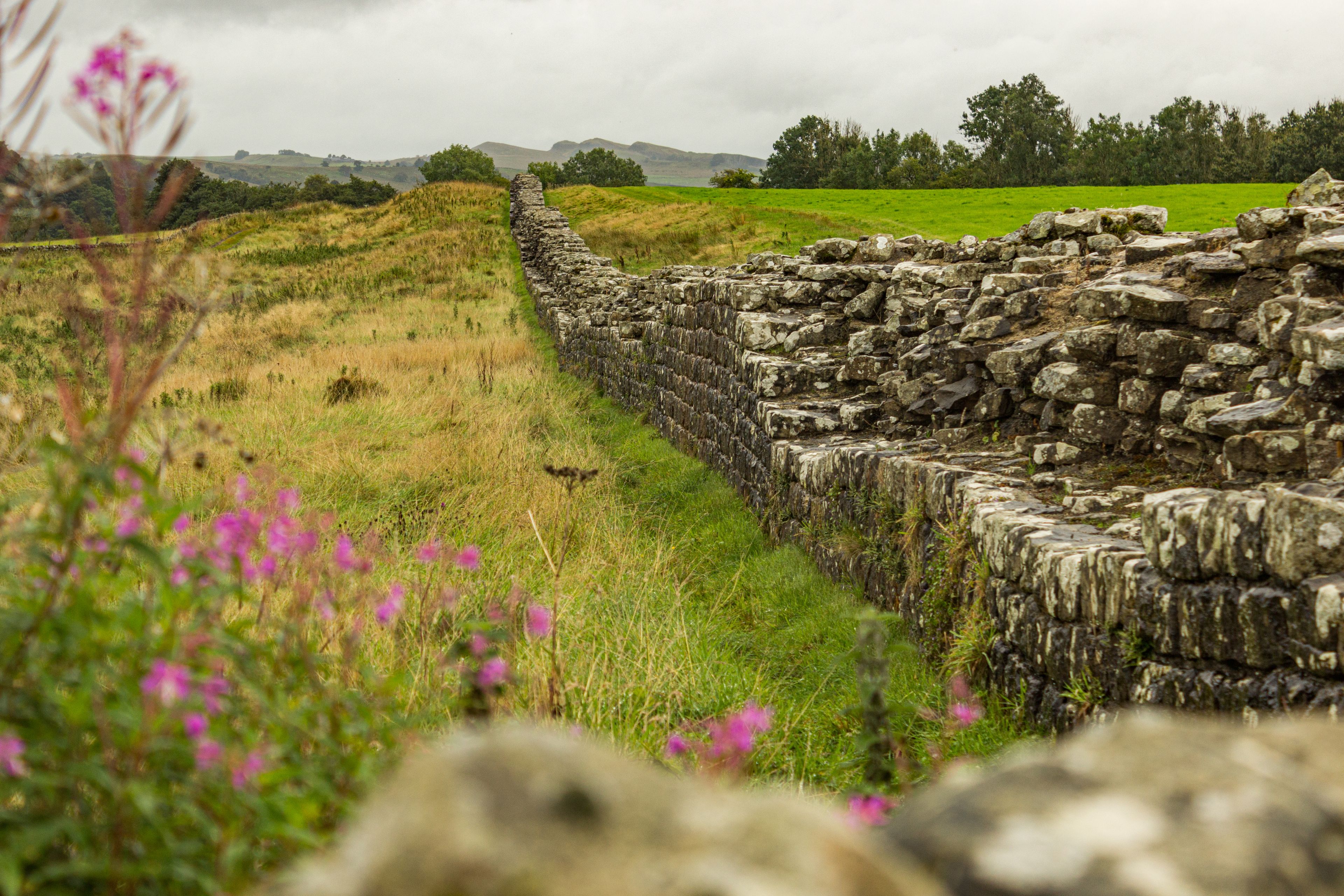 A stone wall in a grassy field with mountains in the background.