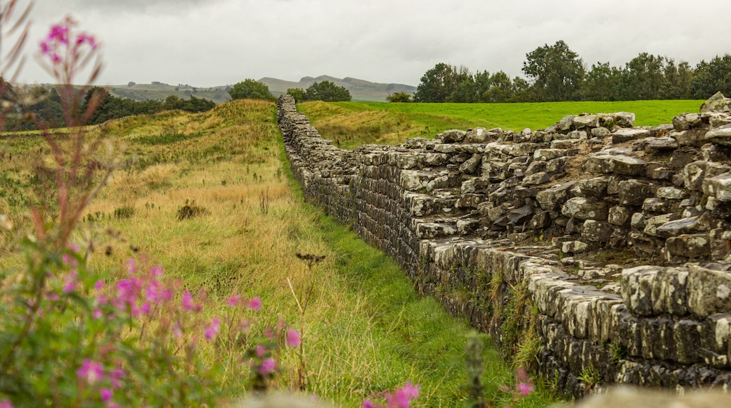 A stone wall in a grassy field with mountains in the background.