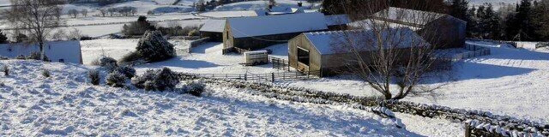 Westhills Farm With a view of the Simonside Hills