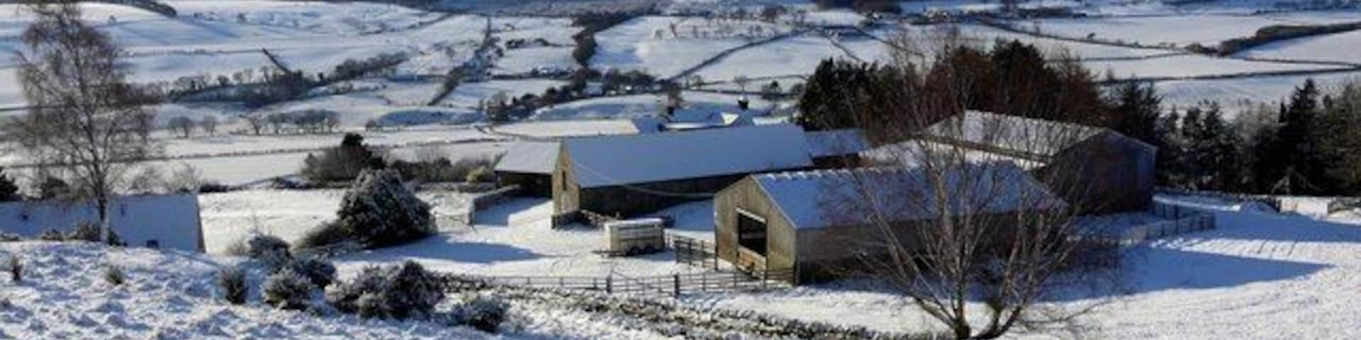 Westhills Farm With a view of the Simonside Hills
