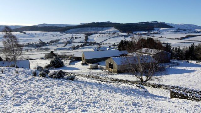 A rural landscape with snow-covered fields, a stone wall, and a farmhouse.