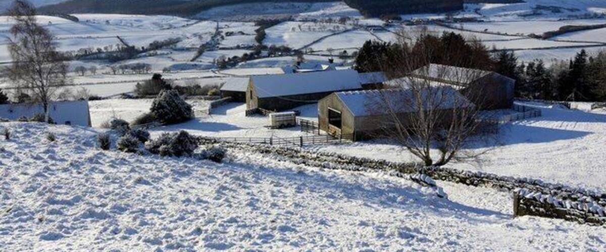 A rural landscape with snow-covered fields, a stone wall, and a farmhouse.