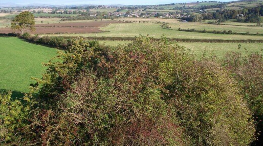 Thropton, from Tosson Lime Kiln A view of Thropton in NU0202