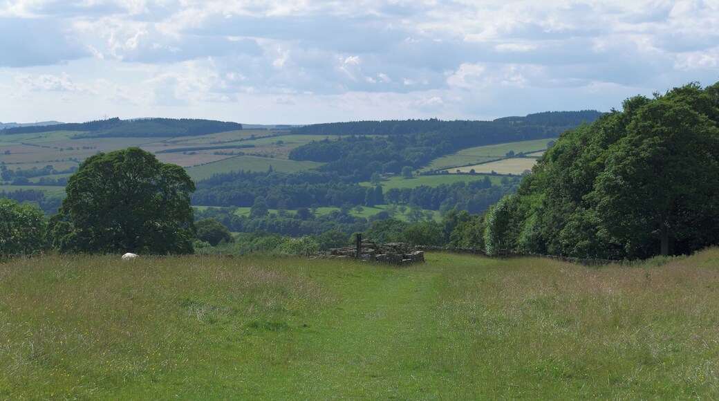 A piece of Hadrian's Wall at Chollerford in Northumberland.