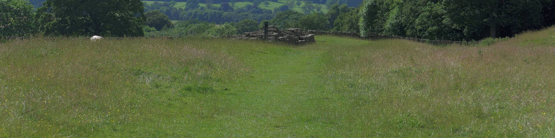 A piece of Hadrian's Wall at Chollerford in Northumberland.
