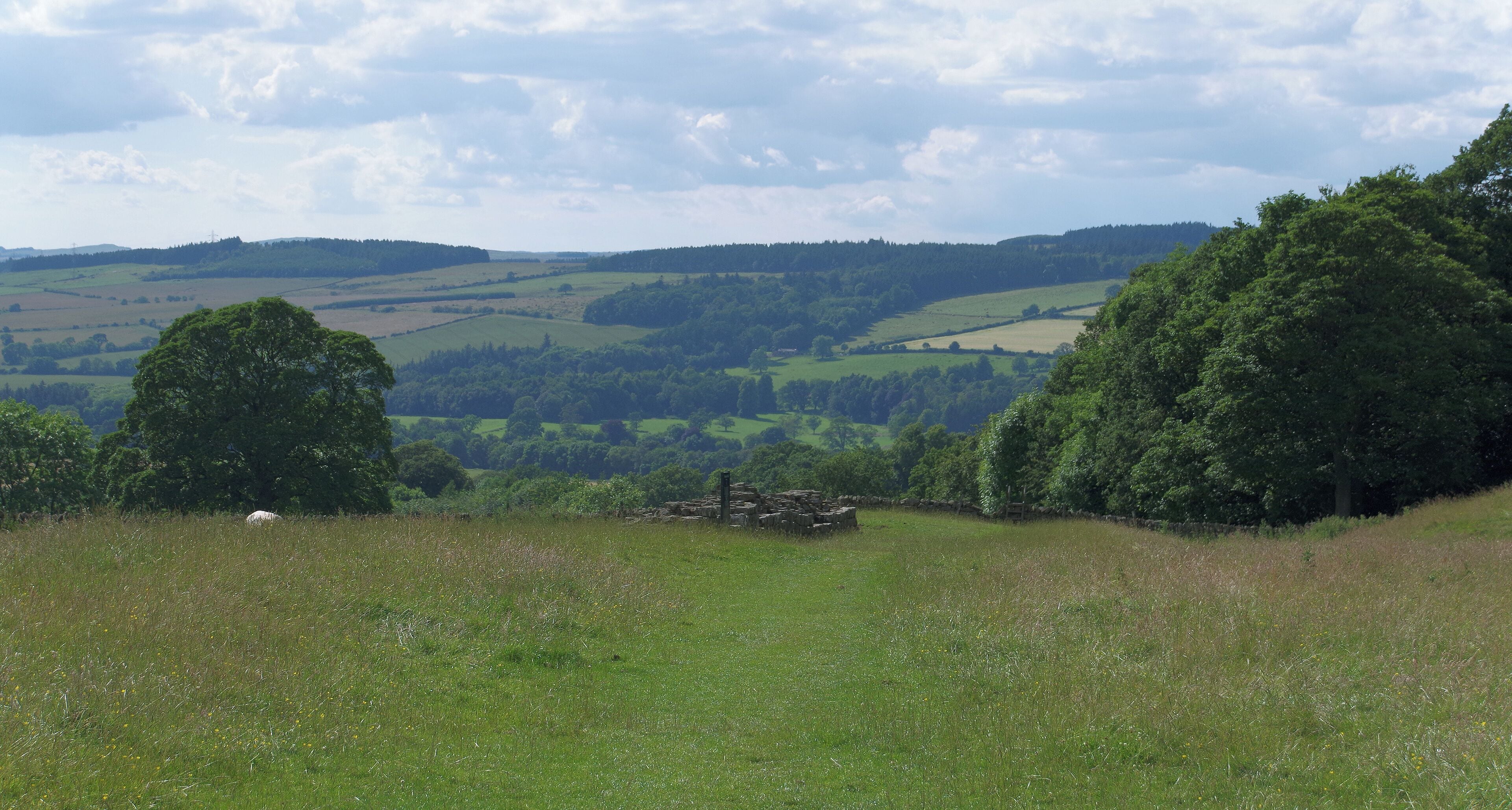A grassy field with trees and rolling hills in the background.