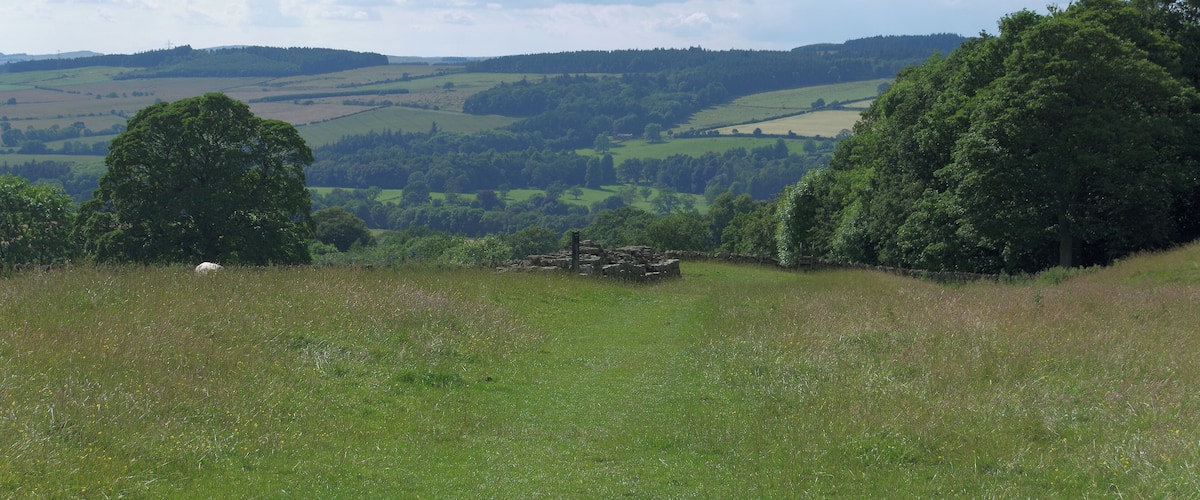 A grassy field with trees and rolling hills in the background.