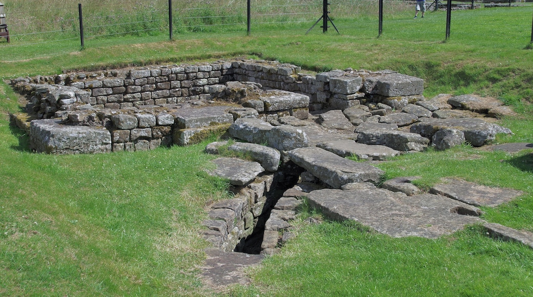Cilurnum Roman Fort near Chollerford in Northumberland. This was a cavalry fort, built as part of Hadrian's Wall.