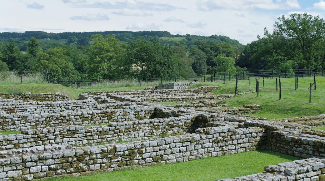 Cilurnum Roman Fort near Chollerford in Northumberland. This was a cavalry fort, built as part of Hadrian's Wall.