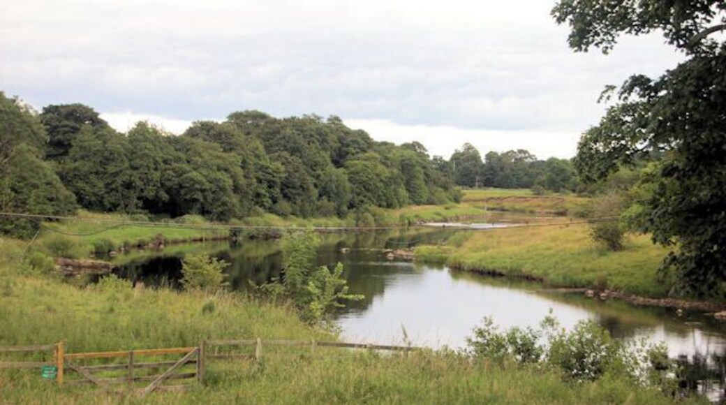 River Tyne at Chesters