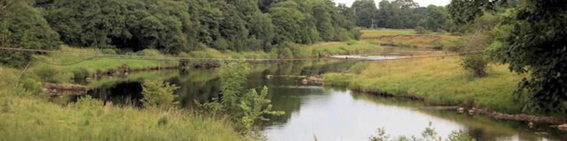 Un río, orillas cubiertas de hierba, árboles y una valla de madera.