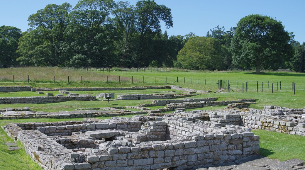 Cilurnum Roman Fort near Chollerford in Northumberland. This was a cavalry fort, built as part of Hadrian's Wall.