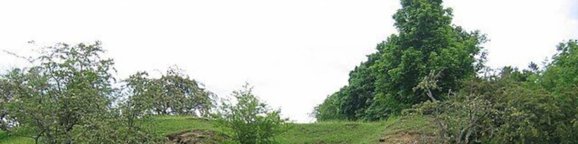 Gunnerton Burn Lime Kilns