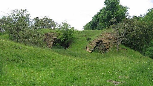 Gunnerton Burn Lime Kilns