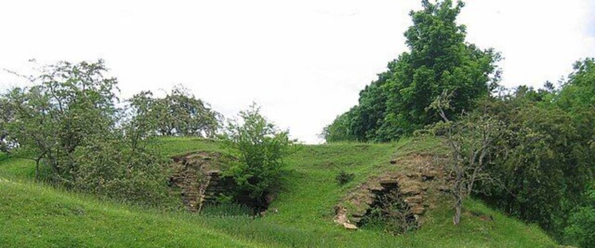 A grassy hillside with rocky outcrops and scattered trees.
