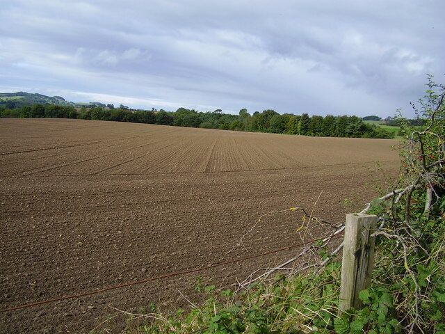 Ploughed fields between Gunnerton and Barrasford
