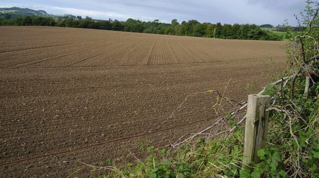 Ploughed fields between Gunnerton and Barrasford