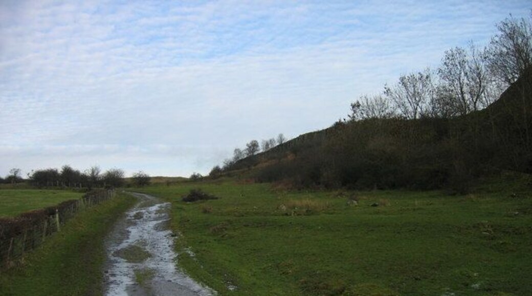 Track near Barrasford Quarry (still working)