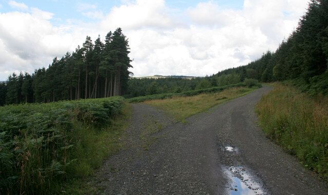 Redesdale Forest Track near Byrness in Redesdale Forest.