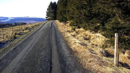 Redesdale Forest Edge Good track at the edge of Redesdale Forest near Byrness.