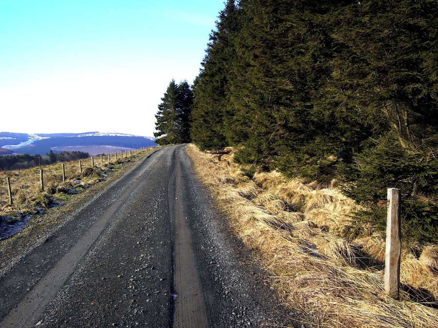 Redesdale Forest Edge Good track at the edge of Redesdale Forest near Byrness.
