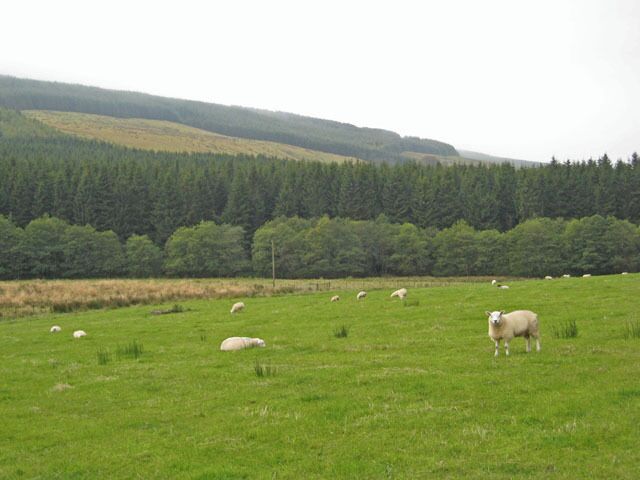 Upper Redesdale Below Catcleugh Reservoir.